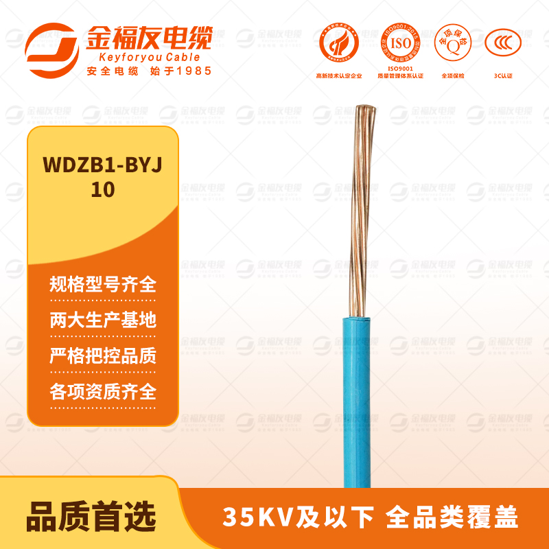 金福友產品-9.15-WDZB1-BYJ-10 金福友產品-9.15-WDZB1-BYJ-10