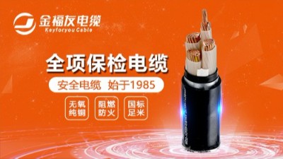 金福友電纜丨榜樣的力量，月度優(yōu)秀進步標兵與團隊表彰！