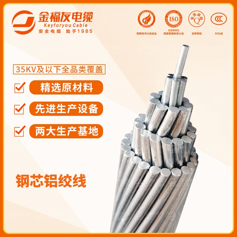 金福友產(chǎn)品-8.6-鋼芯鋁絞線-3 金福友產(chǎn)品-8.6-鋼芯鋁絞線-3