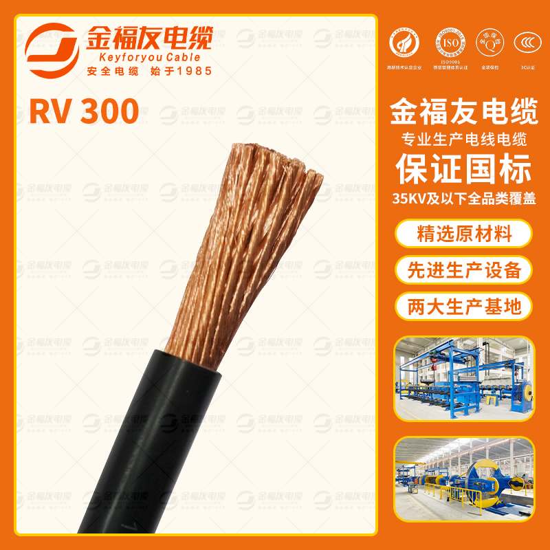 金福友產(chǎn)品-8.20-RV-300 金福友產(chǎn)品-8.20-RV-300