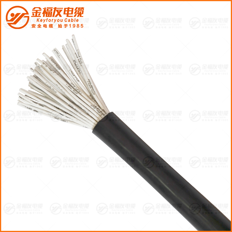 RVV護(hù)套軟線50芯 RVV護(hù)套軟線50芯