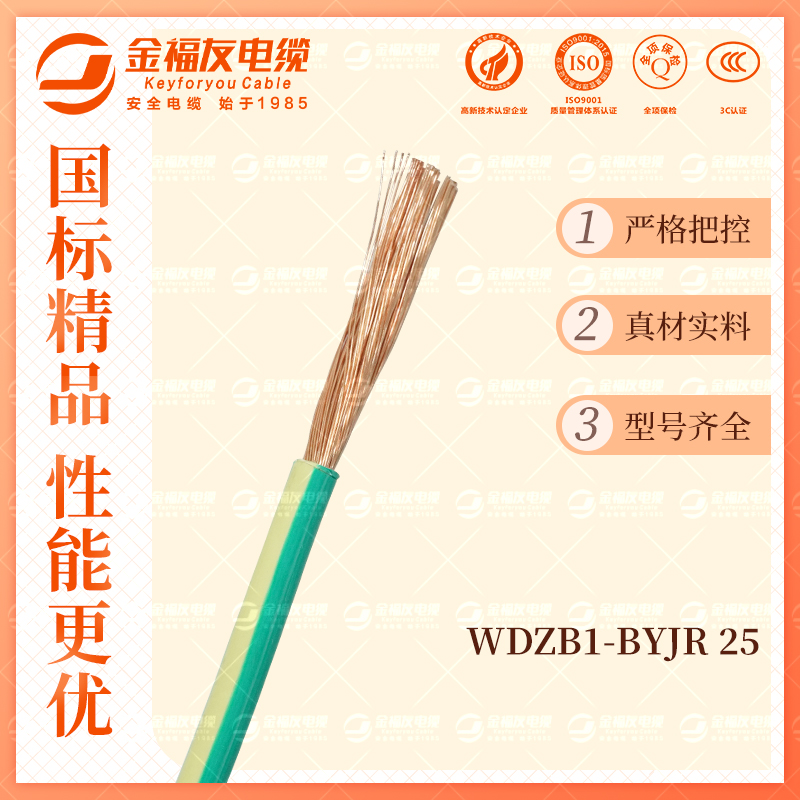 金福友產(chǎn)品-10.9-WDZB1-BYJR-25 金福友產(chǎn)品-10.9-WDZB1-BYJR-25