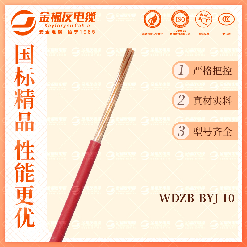 金福友產(chǎn)品-10.9-WDZB-BYJ-10 金福友產(chǎn)品-10.9-WDZB-BYJ-10