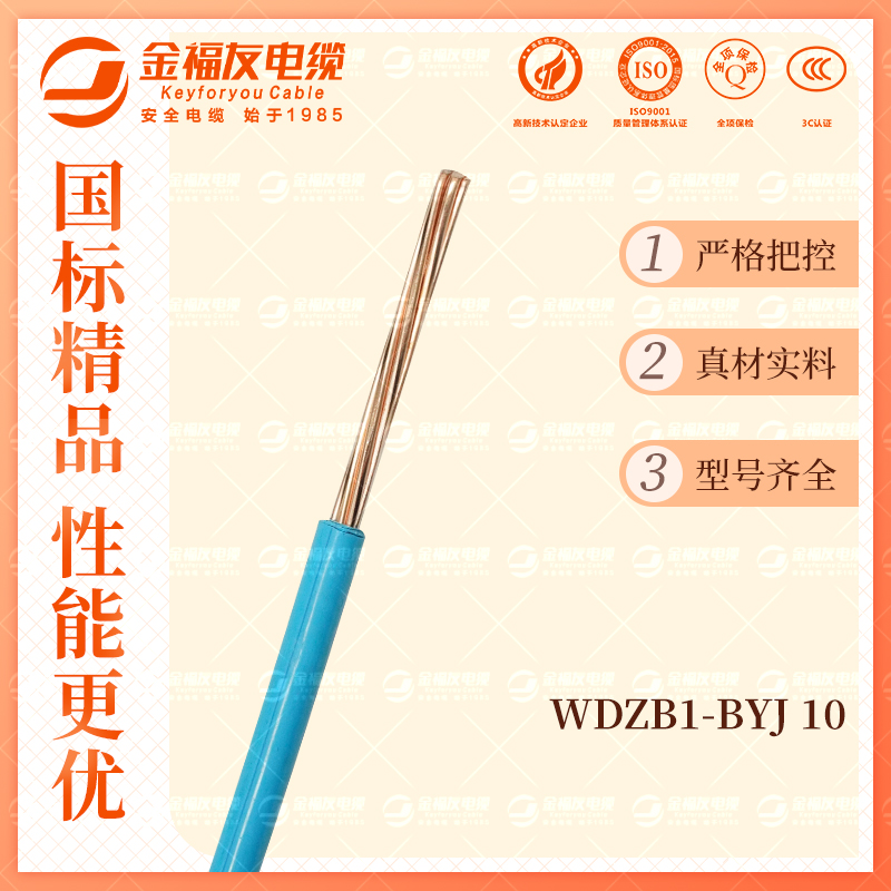 金福友產(chǎn)品-10.9-WDZB1-BYJ-10 金福友產(chǎn)品-10.9-WDZB1-BYJ-10